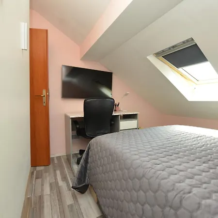 Sanja Kolovare * Zara